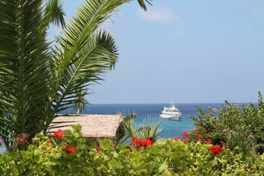 Kıbrıs. Kıbrıs Kültürü. Kıbrıs 'ın manzarası ve doğası.