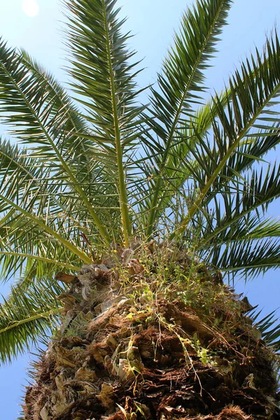 Zypern Kultur Zyperns Sehenswürdigkeiten Und Natur Zyperns — Stockfoto