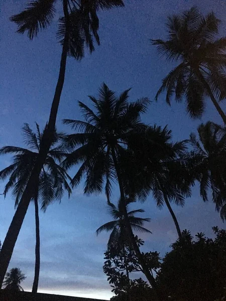 Maldivler. Maldivler Adaları 'nın güzelliği. Maldivler 'in Doğası.