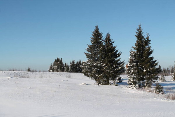 Winter. Snow. Russian winter. Cold. Frost. Blue sky. Gubakha.