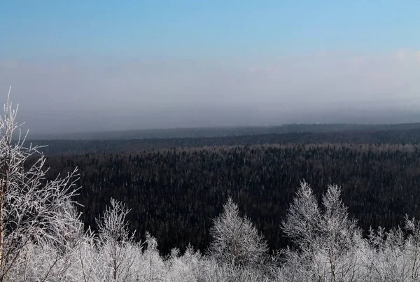 Hiver Neige Hiver Russe Froid Givre Ciel Bleu Gubakha — Photo