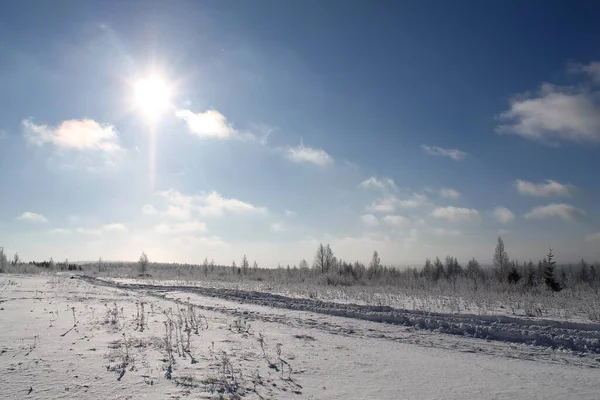 Hiver Neige Hiver Russe Froid Givre Ciel Bleu Gubakha — Photo