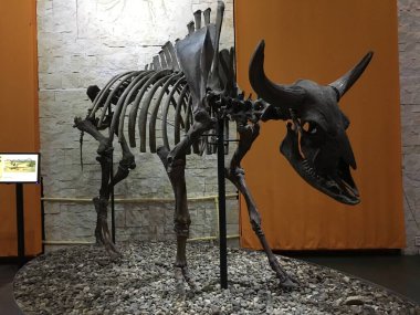 Tecrübeler. Laboratuvar. Bilim. Bilimin popülerleştirilmesi