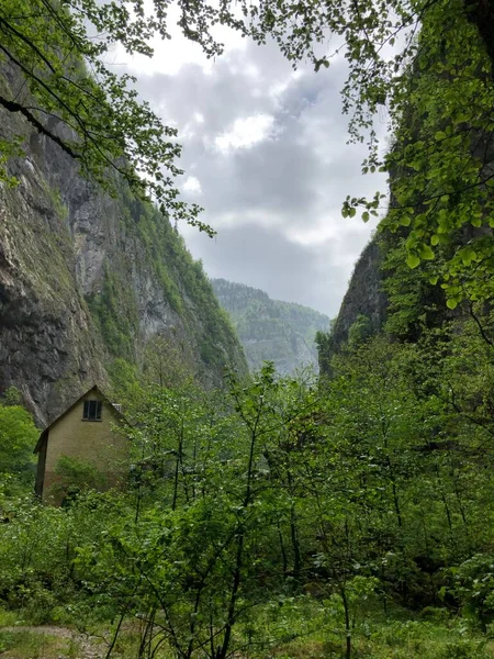 Città Sochi Russia Mare Cultura Della Russia Attrazioni Natura Sochi — Foto Stock