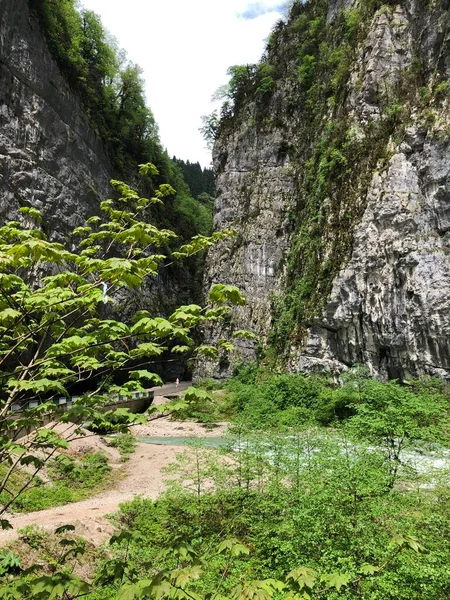 Città Sochi Russia Mare Cultura Della Russia Attrazioni Natura Sochi — Foto Stock