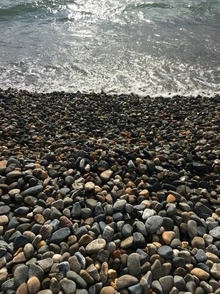 Oraşul Sochi Rusia Mare Cultura Rusiei Obiective Turistice Natura Sochi — Fotografie, imagine de stoc