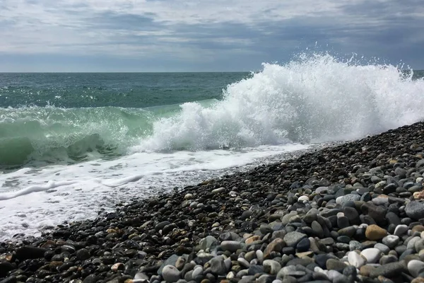 Cidade Sochi Rússia Mar Cultura Rússia Visões Natureza Sochi Região — Fotografia de Stock