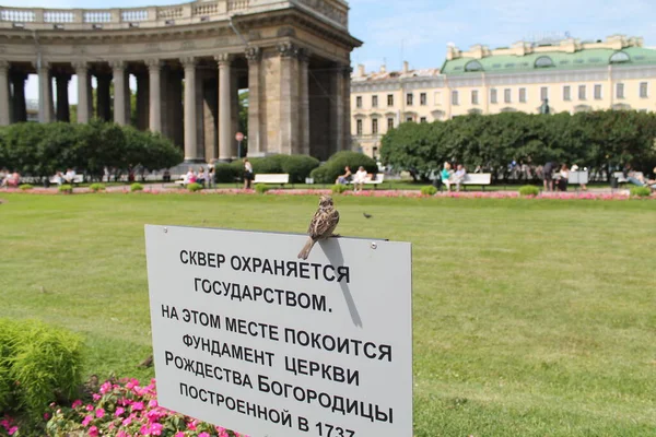 Sankt Petersburg Russland Geschichte Russlands Kultur Russlands Sehenswürdigkeiten Und Natur — Stockfoto