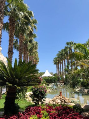 Hindi. Türk Kültürü. Türkiye 'nin manzarası ve doğası. Deniz. Güneşi. Avuçlar. Kumsal. Otel.