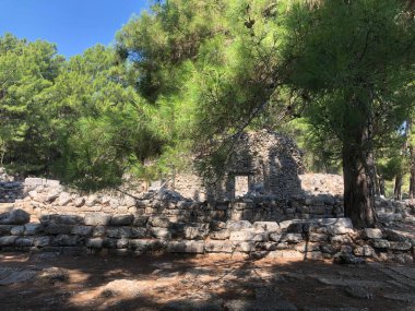 Hindi. Türk Kültürü. Türkiye 'nin manzarası ve doğası. Deniz. Güneşi. Avuçlar. Kumsal. Otel.