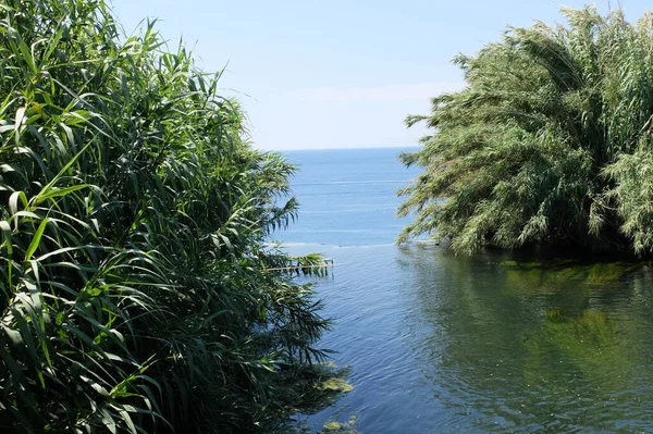 Tacchino Cultura Turca Attrazioni Natura Della Turchia Mare Sole Palme — Foto Stock