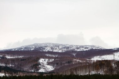 Kış dağ ve orman siste