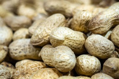 Fıstık kabuğu. Seçici odak, yakın