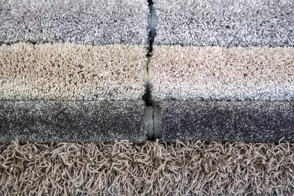 Échantillons Couleur Tapis Rouleaux Gris — Photo