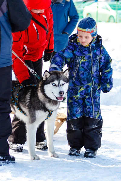 Pavlovsky Ski Park Russie Mars 2018 Garçon Caressant Chien Race — Photo