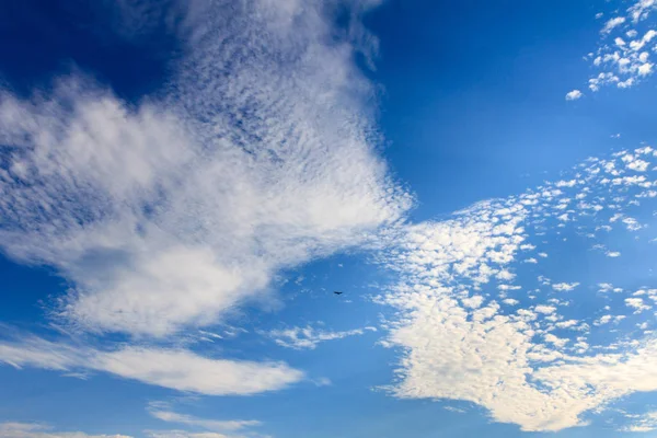 beatiful blue sky with clouds and bird on sunny day