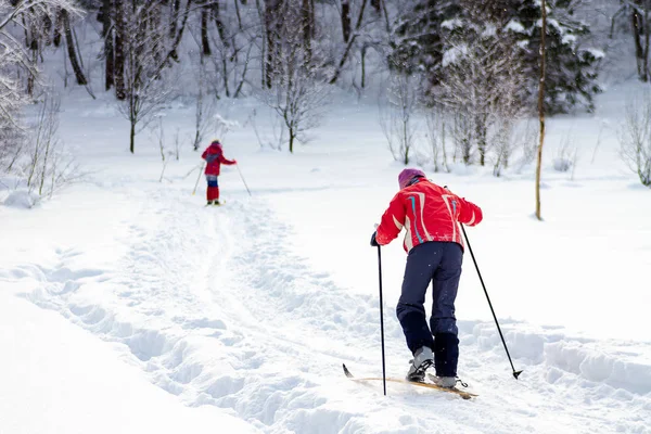 Les Gens Skient Dans Forêt Par Une Journée Ensoleillée Vue — Photo