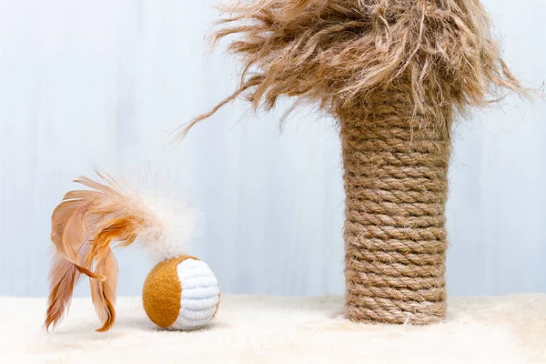 Usado Gato Arranhando Post Com Peças Esfarrapadas Gato Brinquedo Bola — Fotografia de Stock