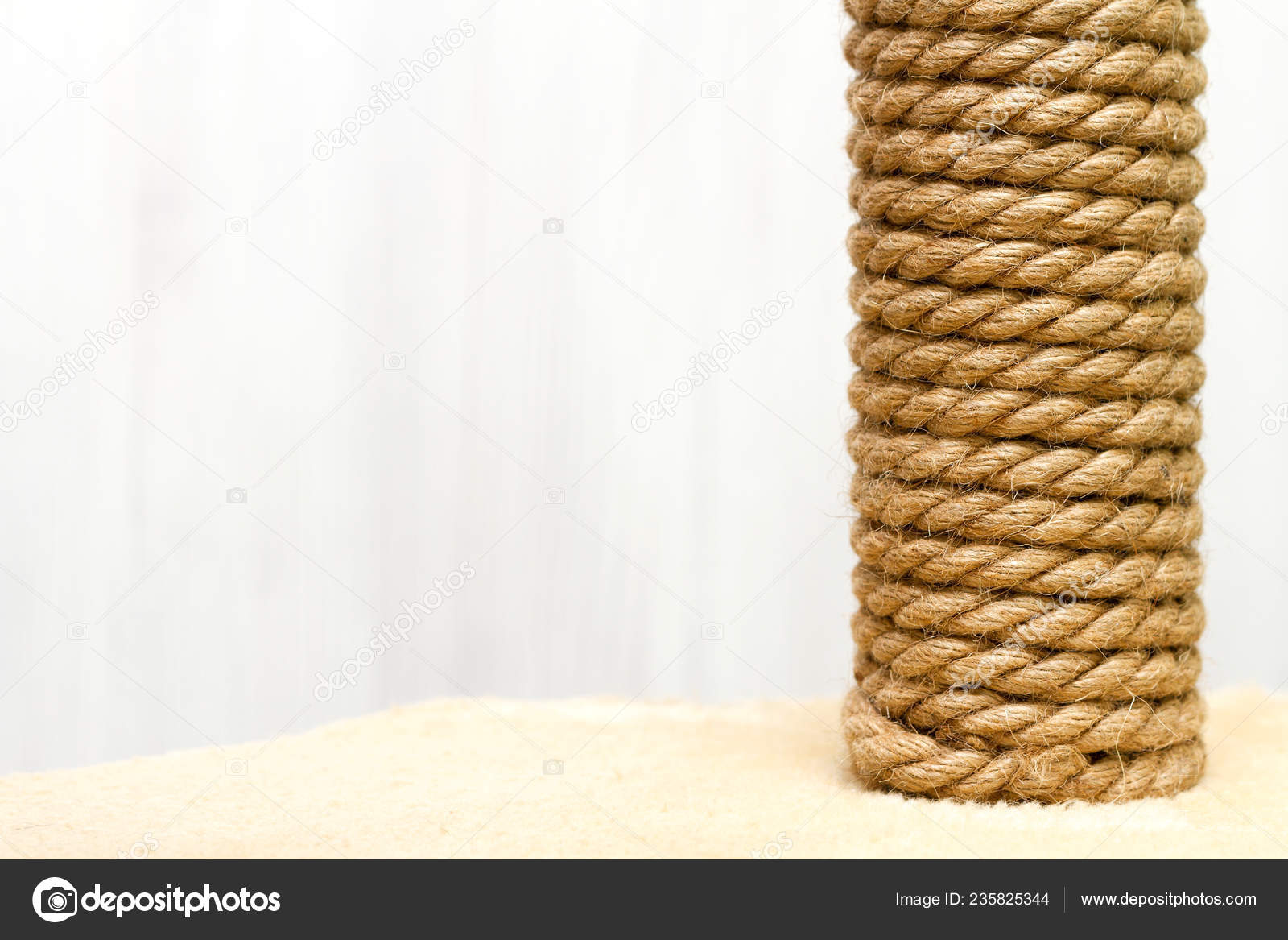 Arbre Chat Meubles Corde Sisal Chat Gratter Poteau Sur Tapis Photographie Zzzarifa C