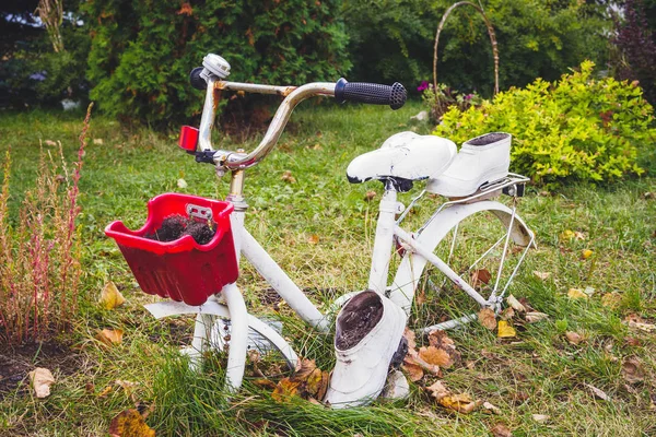 Старый белый декоративный велосипед с красной корзиной и белыми галошами в саду — стоковое фото