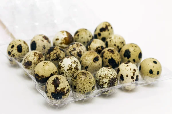 Ovos de codorna em caixa de embalagem transparente aberta em fundo branco, foco seletivo — Fotografia de Stock