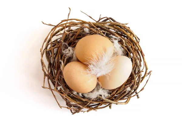 Ovos de galinha marrom e penas em ninho no fundo branco. Conceito de Páscoa, vista superior — Fotografia de Stock