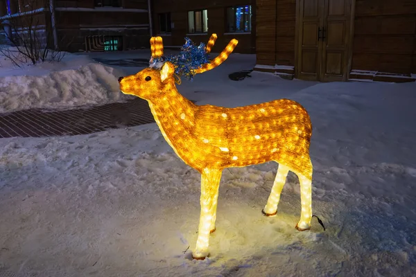 Ren geyiği Noel süslemesi aydınlatılmış, ışıklandırılmış Akrilik geyik figürü kış kenti parkında.