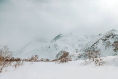 Metinler için kış dağları, kayaların ve dağların karlı tepelerinde buzlu mavi gökyüzü vahşi hayvanlar için kuru otlar, kayak ve snowboard için bir yer, peynirli kekler için olduğu kadar temiz hava için de