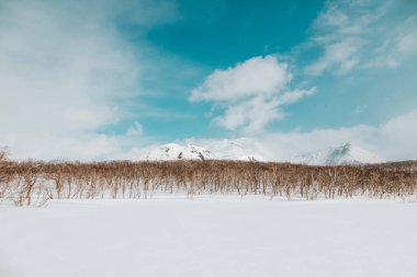 Metinler için kış dağları, kayaların ve dağların karlı tepelerinde buzlu mavi gökyüzü vahşi hayvanlar için kuru otlar, kayak ve snowboard için bir yer, peynirli kekler için olduğu kadar temiz hava için de