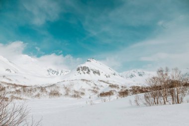 Metinler için kış dağları, kayaların ve dağların karlı tepelerinde buzlu mavi gökyüzü vahşi hayvanlar için kuru otlar, kayak ve snowboard için bir yer, peynirli kekler için olduğu kadar temiz hava için de