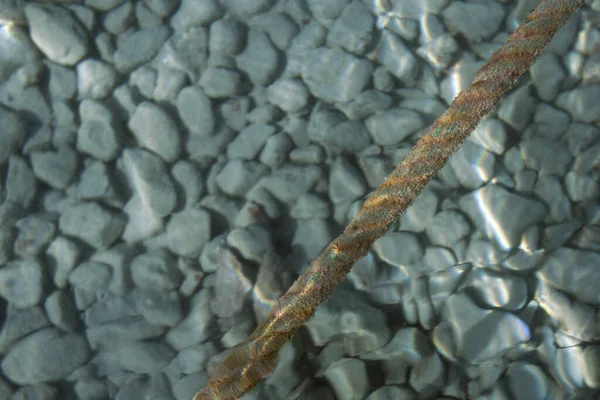 Kabel Van Boot Gelegen Helder Helder Zeewater Tegen Achtergrond Van — Stockfoto