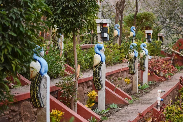 Udaipur Hindistan Daki Rajiv Gandi Parkı Nda Dekoratif Peacock — Stok fotoğraf