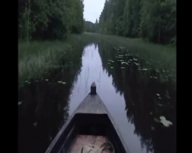 hannel. Wooden log.plowing and overgrown timber.