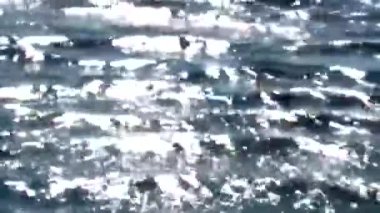 Güneşli bir gün, suda küçük dalgalar, güneş ışınları sudan yansıyor ve güzel gölgeler oluşturuyor..