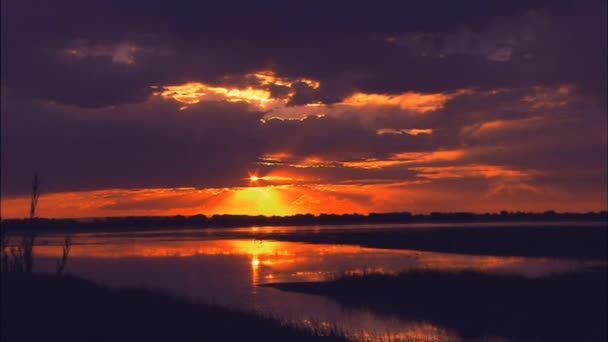 Abendlicher Sonnenuntergang Über Dem See Eine Ente Sitzt Auf Dem — Stockvideo