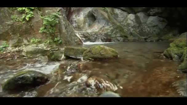 Czysta Chłodna Woda Pitna Przepływa Przez Skały Góry — Wideo stockowe