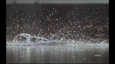 Nehirde bir balıkbalığı büyük bir balık yakaladı..