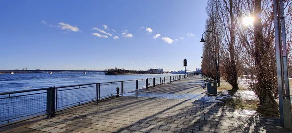 Limanın sonunda nehir, ada ve ağaçlarla Montreal kıyıları