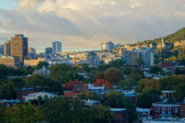 Down Town 'a daha yakın olan Royal Dağı' nın 10. kattaki plato bölgesinden uzun bir objektifle çekilmiş görüntüsü. Kraliyet dağının etrafındaki renkli ağaçlar