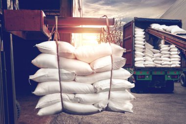 Forklift beyaz şeker torbasını depodan ihracat için konteynıra doldurmak için kullanıyor..
