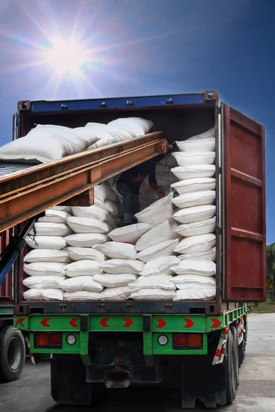 Witte Suikerzakken Overgebracht Naar Container Voor Uitvoer — Stockfoto