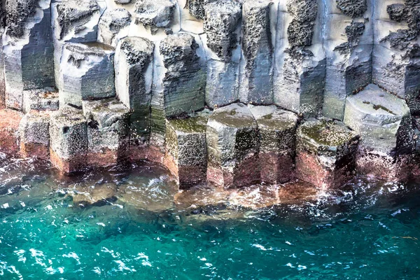 Jusangjeolli Seogwipo Jeju Güney Kore 'de deniz kıyısında volkanik sütun kayalığı