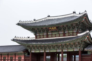 Seul Güney Kore Asya 'daki Gyeongbokgung Sarayı' nda desen ve doku.