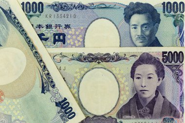 Para banknotları çeşitli değerlerde çerçeve Japon yenleri boyunca yayıldı