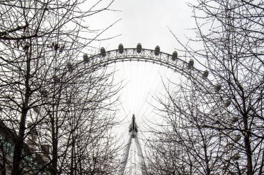 London Eye ya da Millennium Wheel, Thames Nehri 'nin güney kıyısında bulunan bir tekerdir..