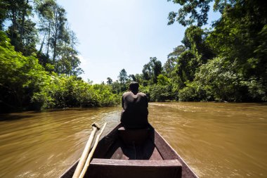Bereketli yeşil tropikal yağmur ormanları Malezya Milli Parkı 'nda sakin nehir boyunca tekne gezisi