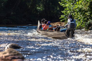Bereketli yeşil tropikal yağmur ormanları Malezya Milli Parkı 'nda sakin nehir boyunca tekne gezisi