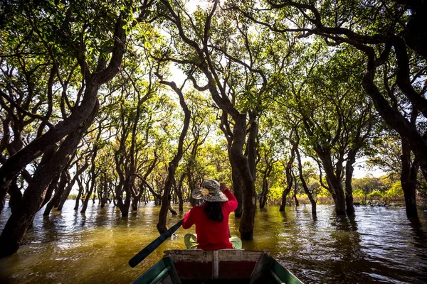 Siem Reap Tonle Sap Kompong Phluk mangrove tekne gezisi