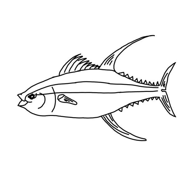 Tuna carcass. Line art on a white background. — Stock Photo, Image