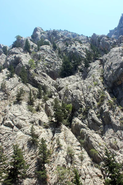 Yüksek dağlar, kayalar, ağaçlar ve mavi gökyüzü. Arkaplan.